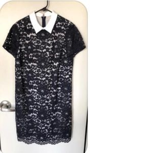 Lace dress with collar